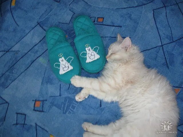 Фото автора.