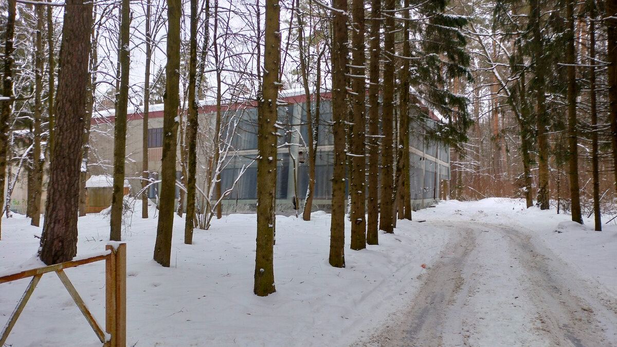 2023 год. / Еще фото --->