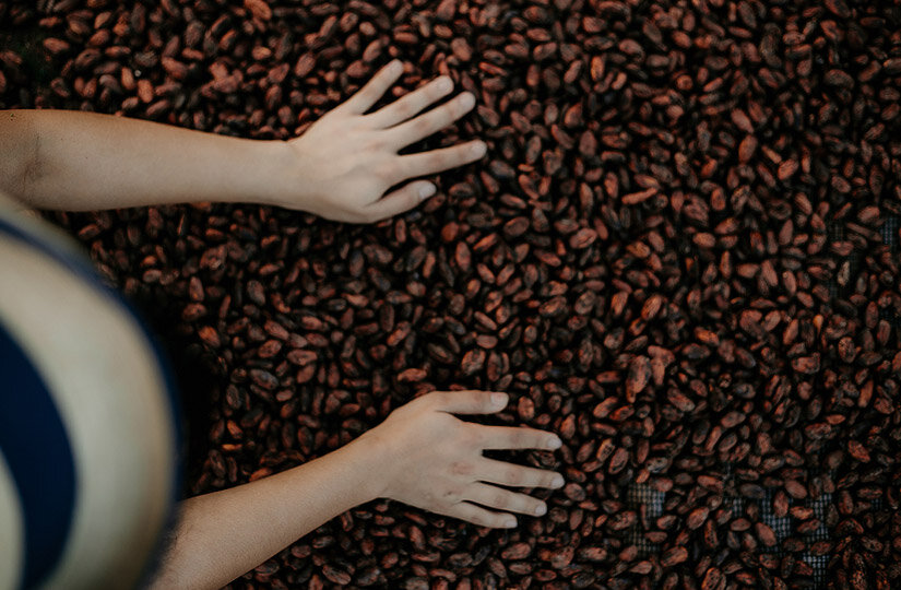 Фото: pexels.com 