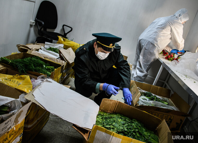 Улица навои ташкент. Вывоз товаров. Октябрьский таможенный пост екатеринбургской таможни. Таможня жапаров. Октябрьский таможенный пост екатеринбургской таможни.