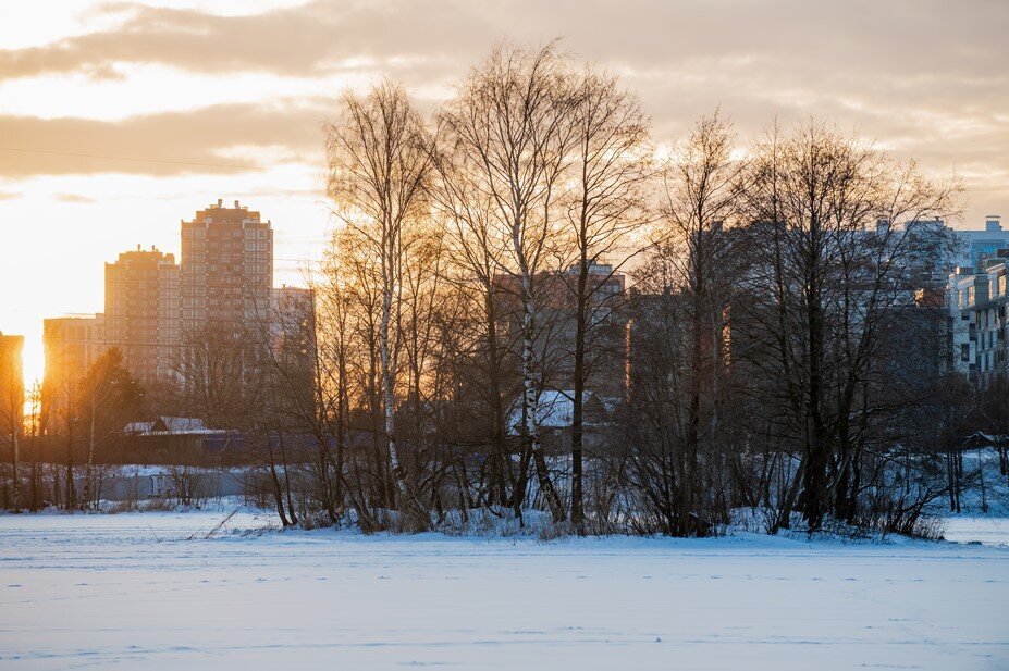 Балтийская жемчужина санкт-петербург. Г. Лахта приморский район. Центр приморского района санкт-петербурга. Балтийская жемчужина санкт-петербург.