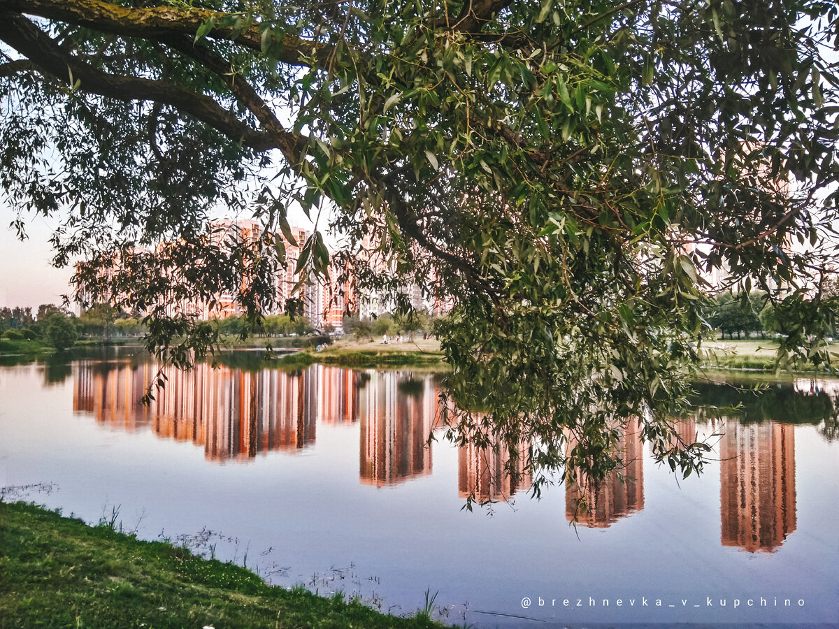 Пруд в русле бывшей реки Волковки. Фото моё. 