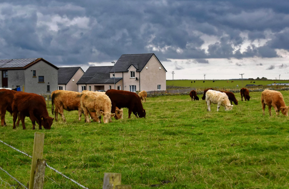 Участники фермерского хозяйства. Задача в хозяйстве у фермера 12 парников. Сколько парников занято огурцами. В хозяйстве у фермера 12 парников. Сельское хозяйство марий эл.