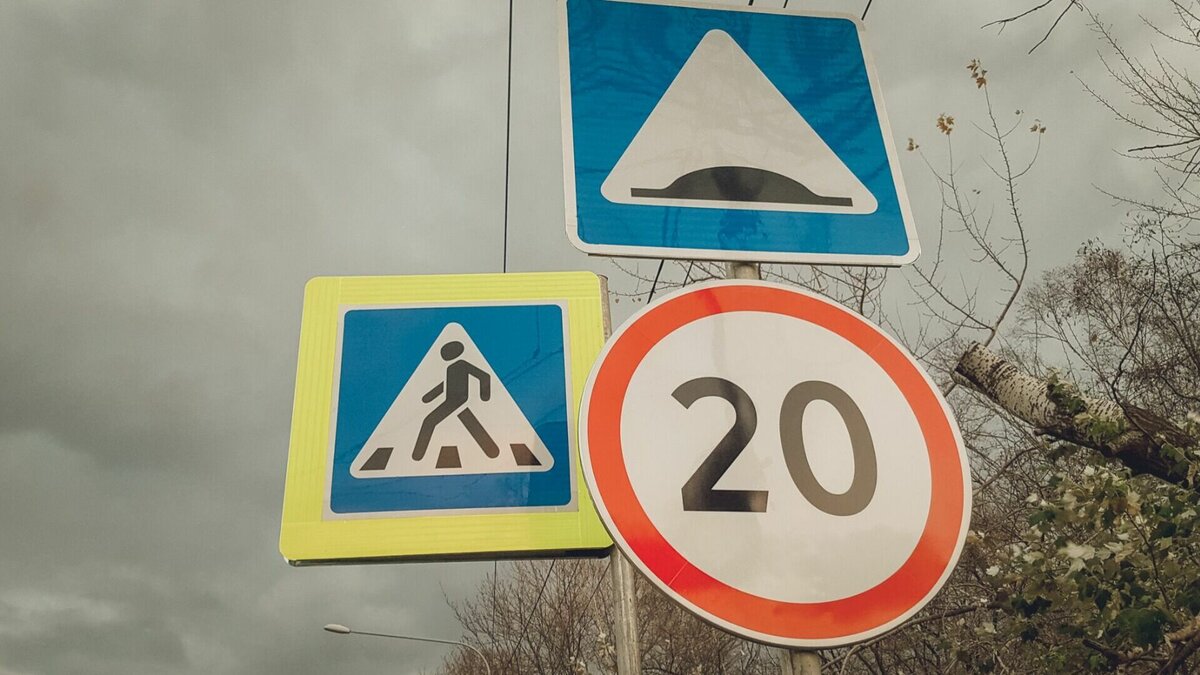     В Казани жители «Лесного городка» попросили городские власти установить им лежачих полицейских. Такой запрос прозвучал на встрече избирателей с депутатами Казгордумы.