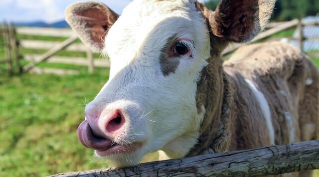 Photo by Sophie Dale on Unsplash