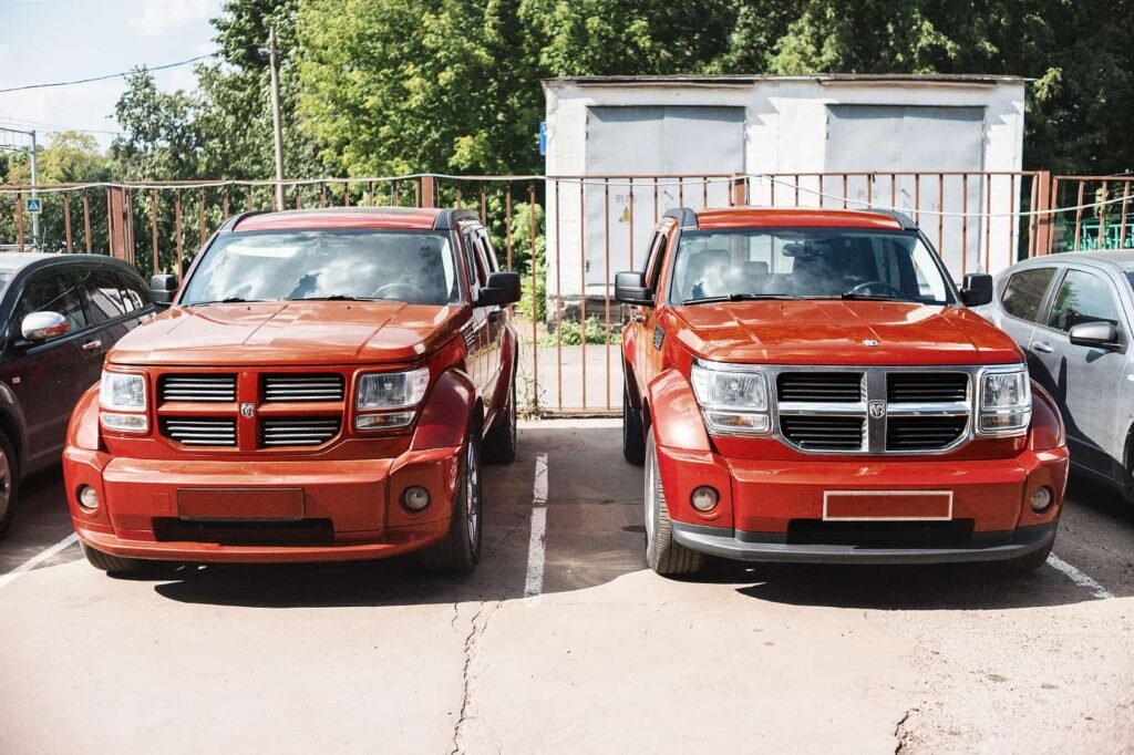 Встреча красных американских братьев