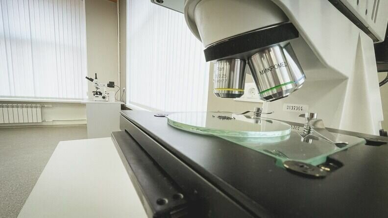     В Чите продолжается региональный этап Всероссийской олимпиады школьников. На сегодняшний день в копилке учащихся Читы — 13 призовых мест.