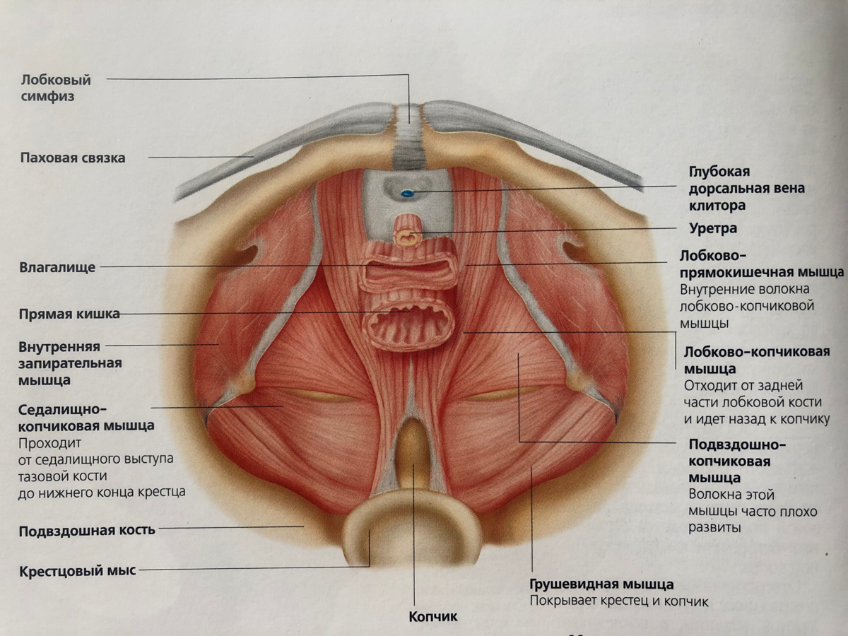 Визуальные сравнения