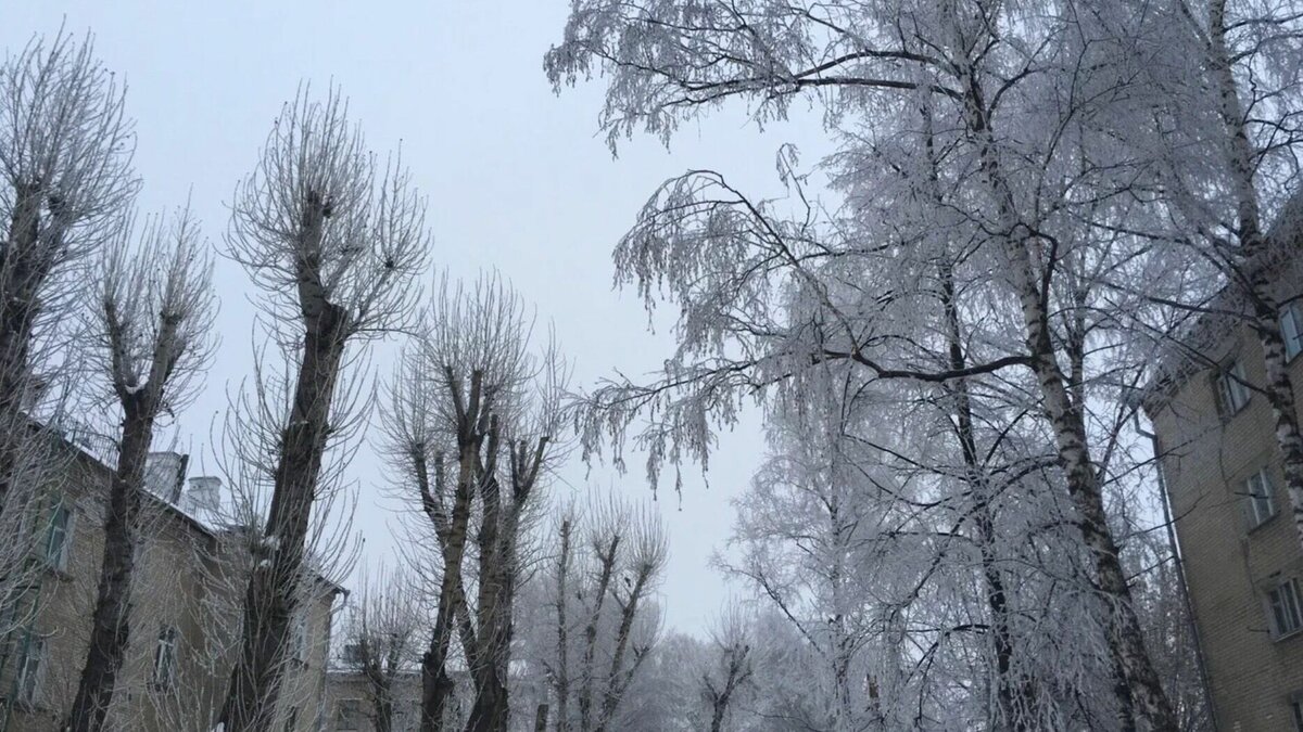     В Татарстане в предстоящие дни на погоду будет влиять пониженное атмосферное давление. Регион окажется в северной части циклона с центром в районе Самары. Об этом предупредили синоптики.