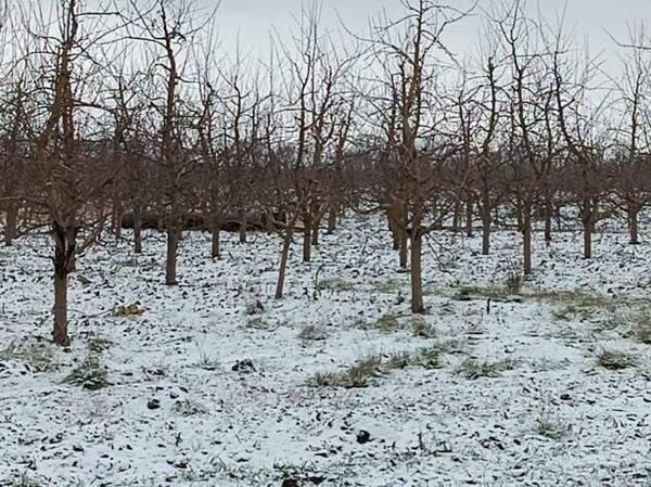    © Poliţia de Frontieră a Republicii Moldova