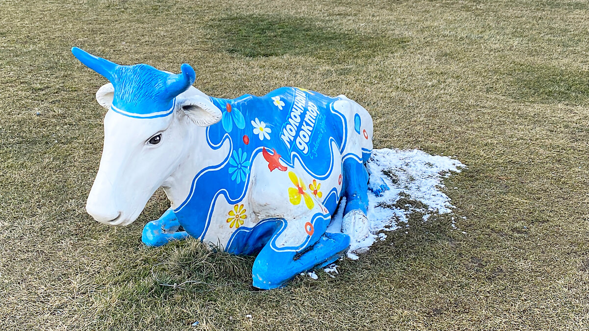 фото автора