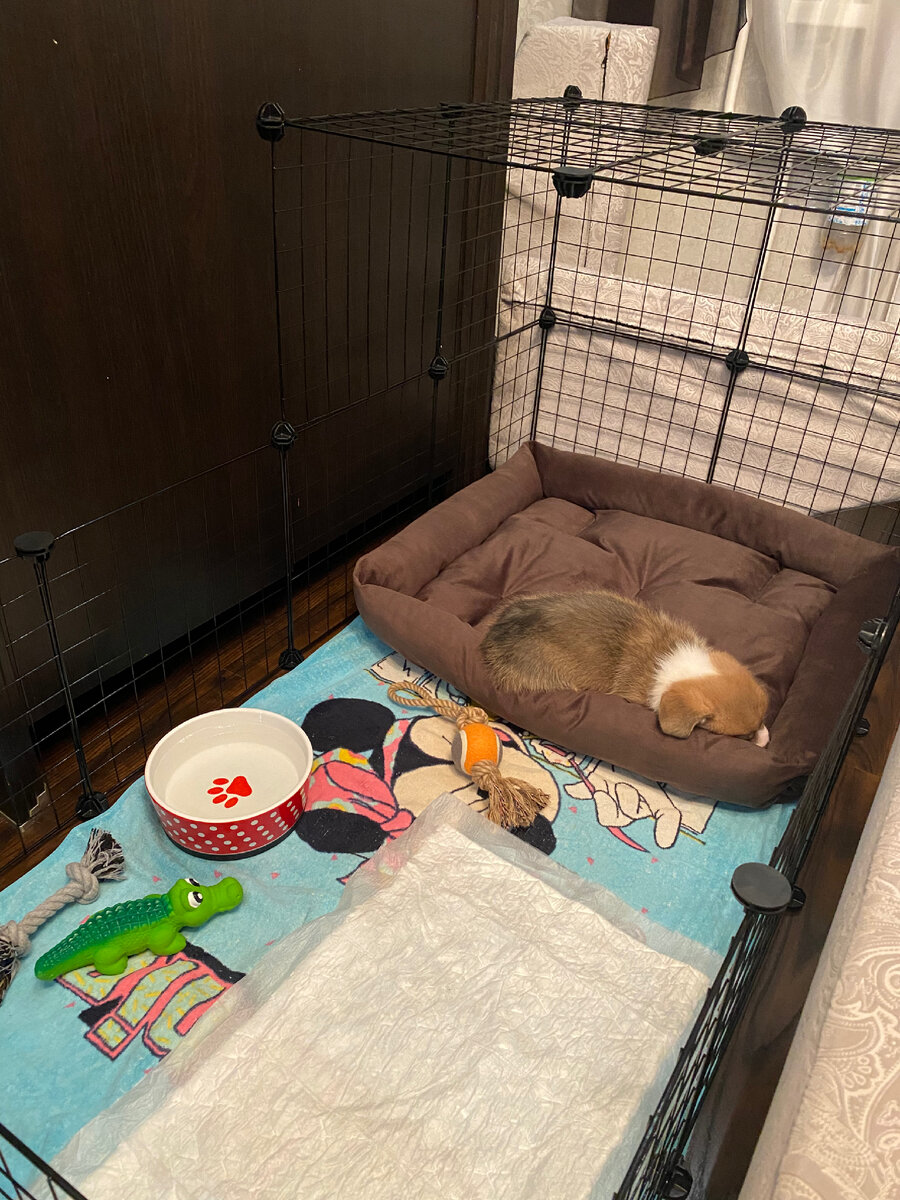 Первая ночь дома