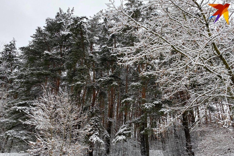     День Николы Студеного отмечают 17 февраля - собрали приметы и запреты. Фото: архив «КП»