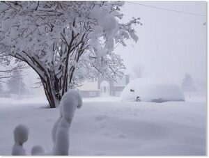    Фото: sott.net Виталий Приходько