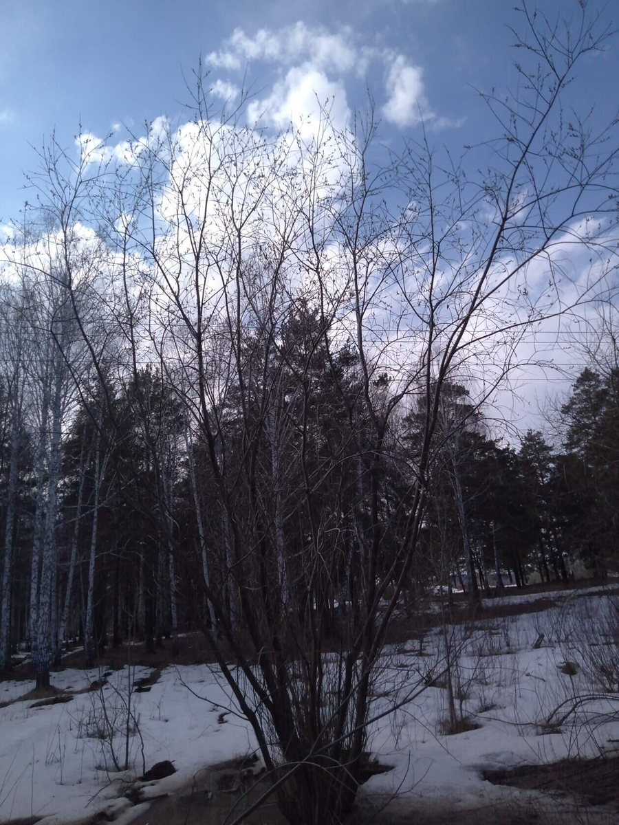 Фото  автора 