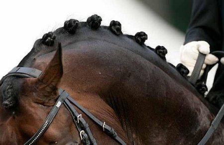 Шишечки-розетки