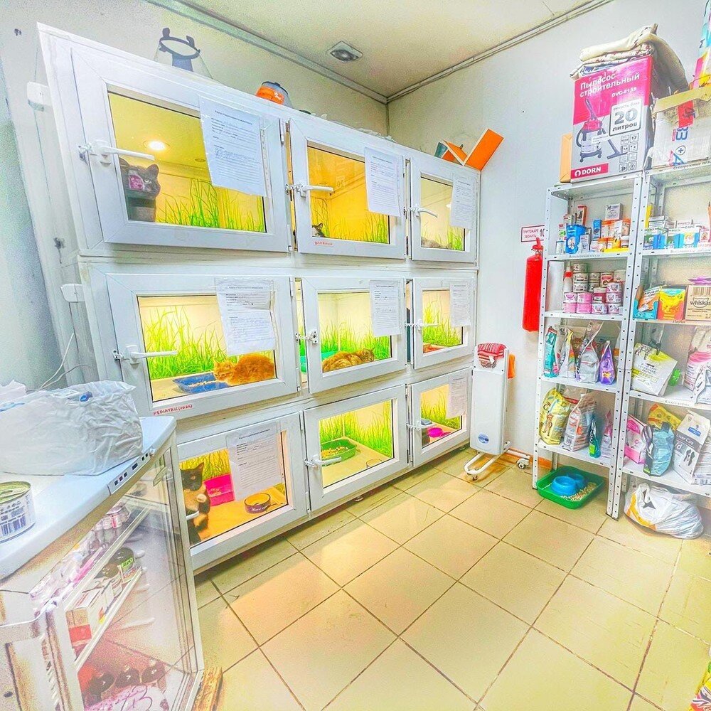 Стационар после реконструкции