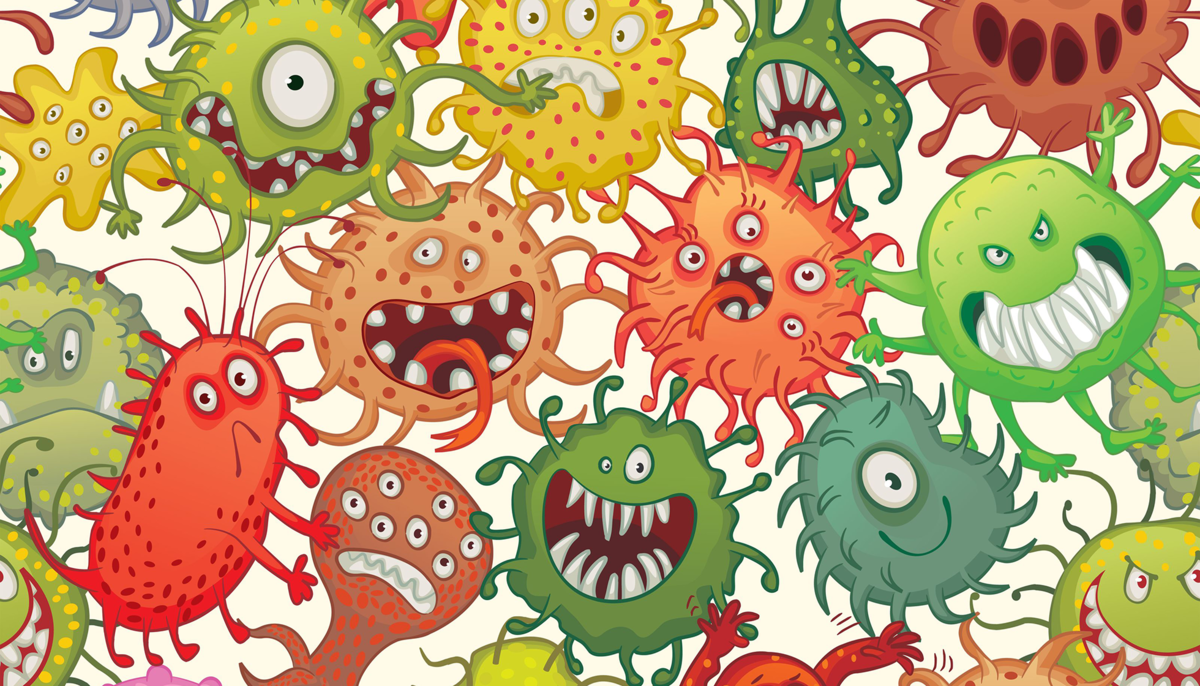 Who are we? Are we bacteria?