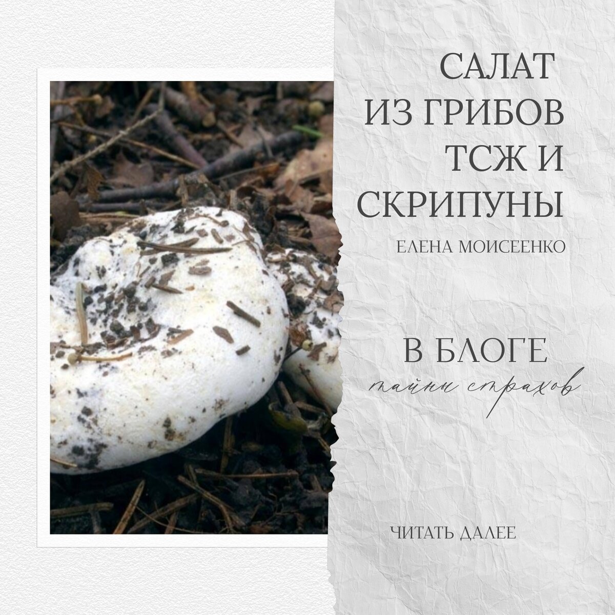 Груздь-скрипун