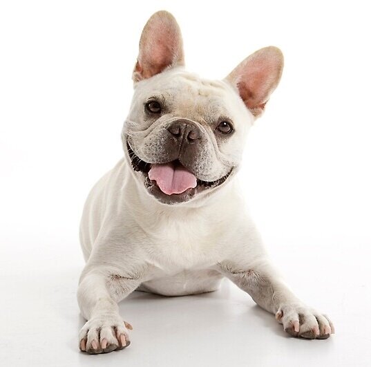 -Мы знакомы?