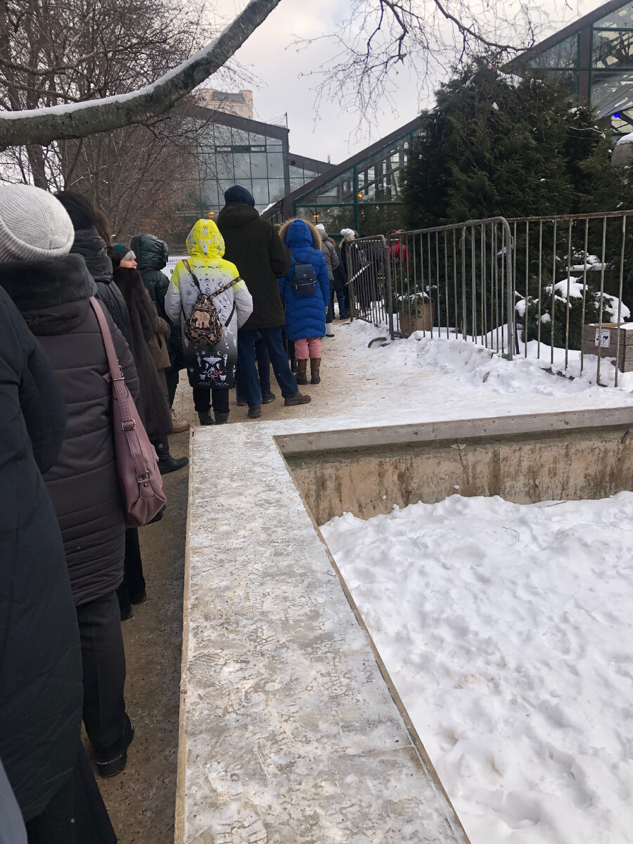 Чтобы попасть на выставку пришлось минут 20 постоять в очереди на морозе. Но когда я выходила из оранжереи очередь увеличилась в три раза. 