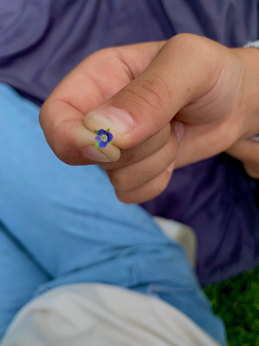 В преддверии 8 марта 