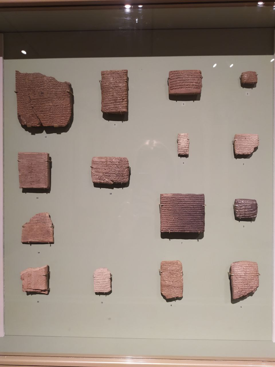 Новая постоянная экспозиция Эрмитажа, посвященная письменностям ...