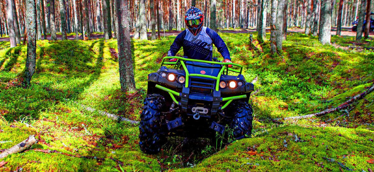 РМ650