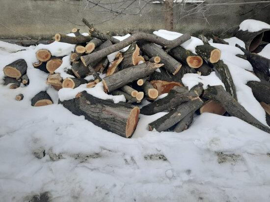     Фото: ГУ МВД по СК