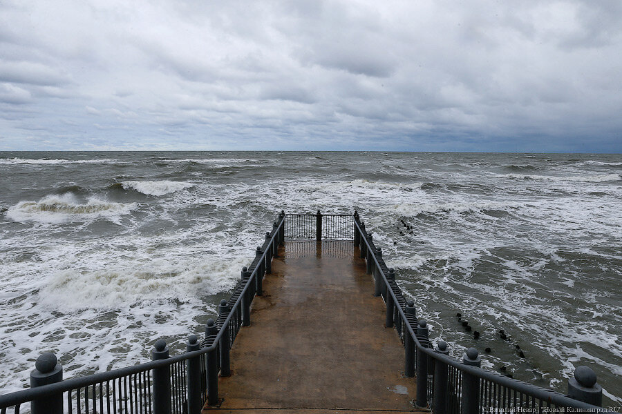Фото: Виталий Невар / Новый Калининград