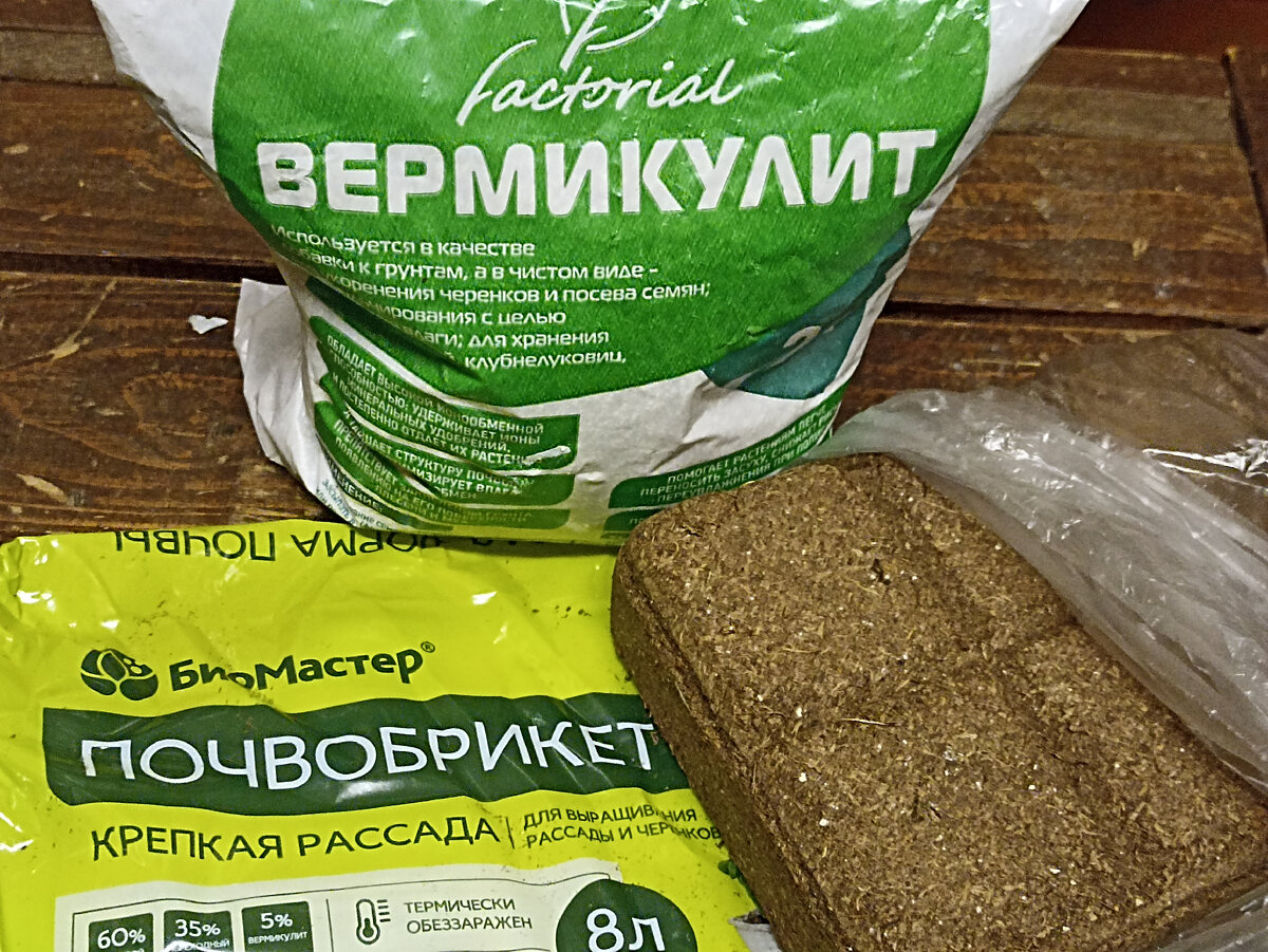 Грунт готовлю из почвобрикета и вермикулита. Фото автора
