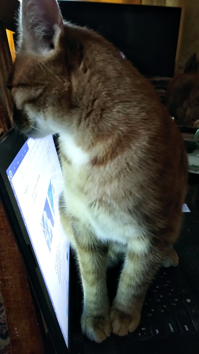 Личное  фото