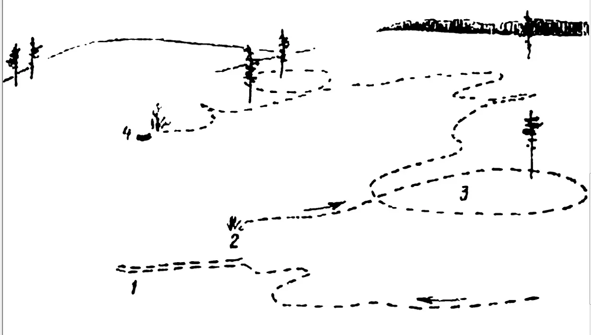На зайца по первому снегу. Схема распутывания заячьих следов. Схема заячьих следов перед лежкой. Тропление зайца русака следы. Тропление зайца схема.
