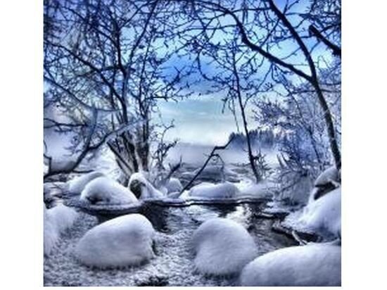     Фото pixabay.com