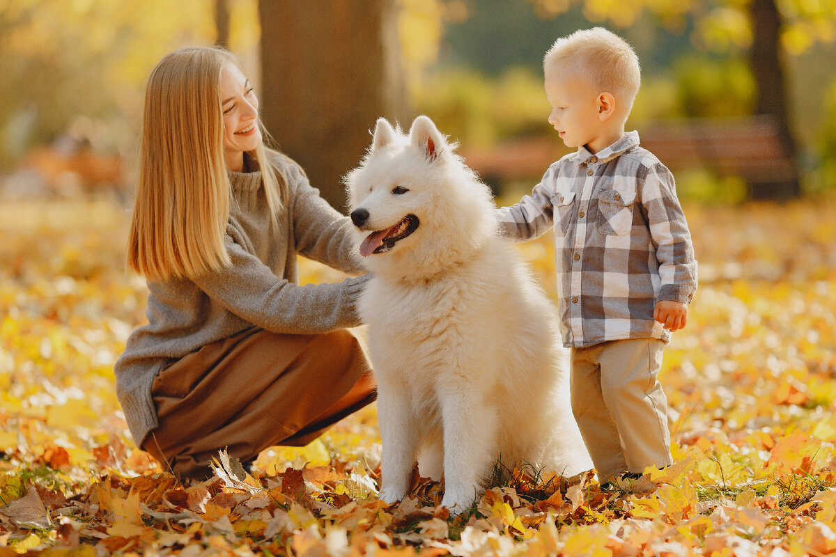 Зачем детям нужны домашние животные: польза и ответственность | Pet  Lifestyle | Дзен