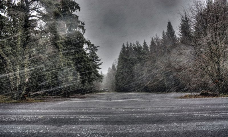 Изображение из интернета