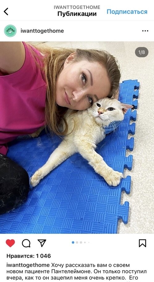 скрин с переписки