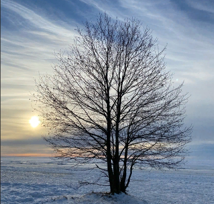 Сахалин https://vk.com/pantiv