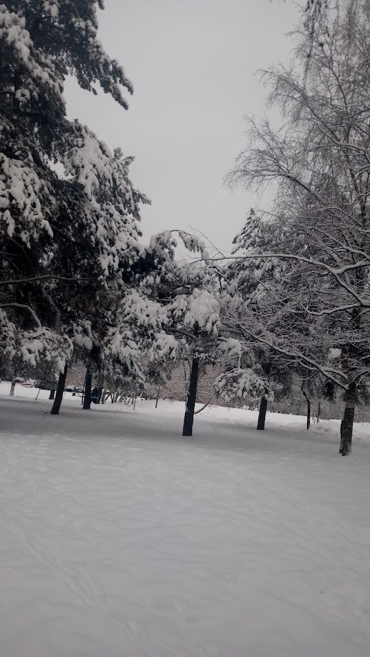 фото мое но старое