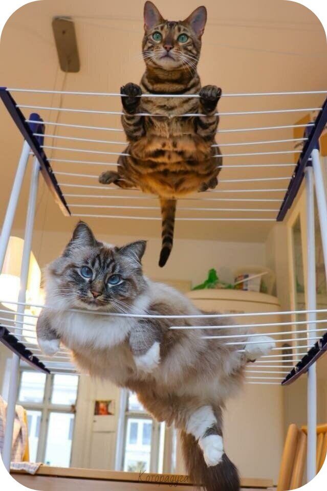 Источник: pinterest.com