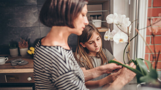    Точно не для кухни: 6 комнатных растений, которые создадут проблемы Анастасия Романова