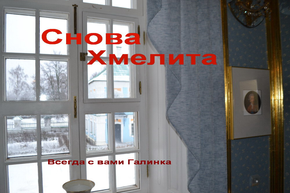 Из окна усадьбы ...