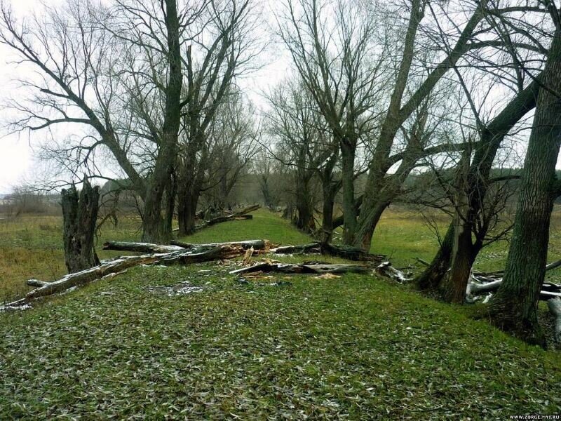 
Остатки старинного Алатского тракта. Источник фото: komanda-k.ru