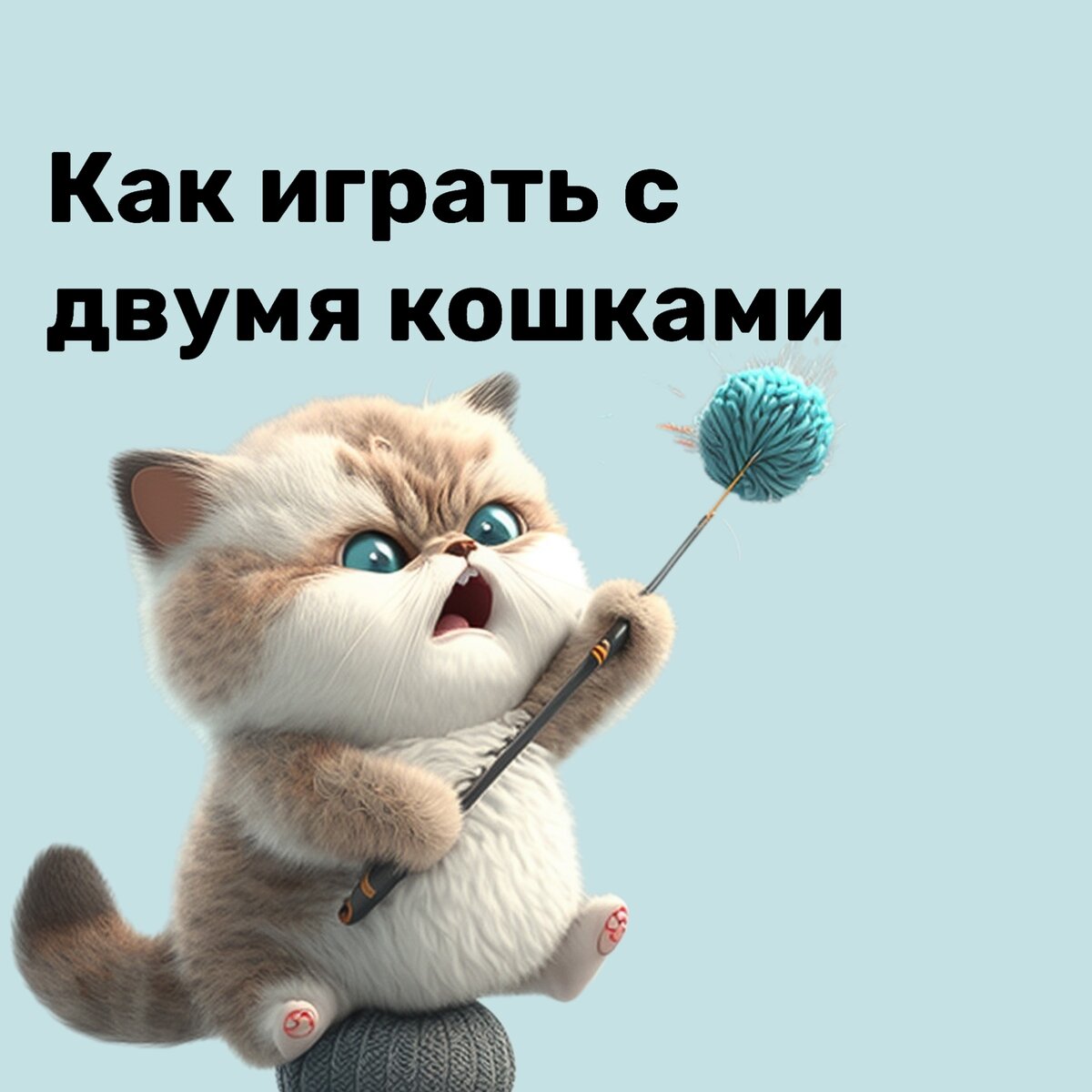 Cat talk