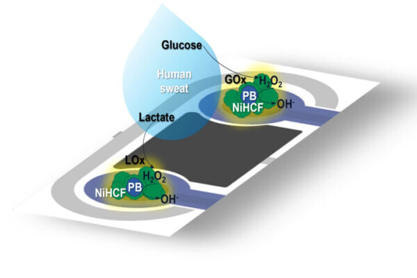    Фото: пресс-служба МГУ. Схема работы механизма
