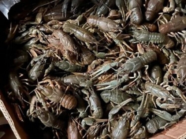     Фото: СУ СК РФ по Астраханской области.