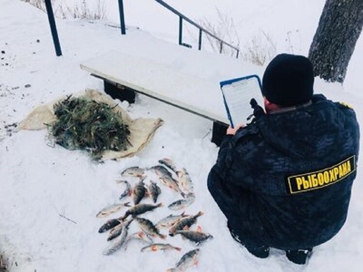     Фото: МОКТУ Росрыболовства.