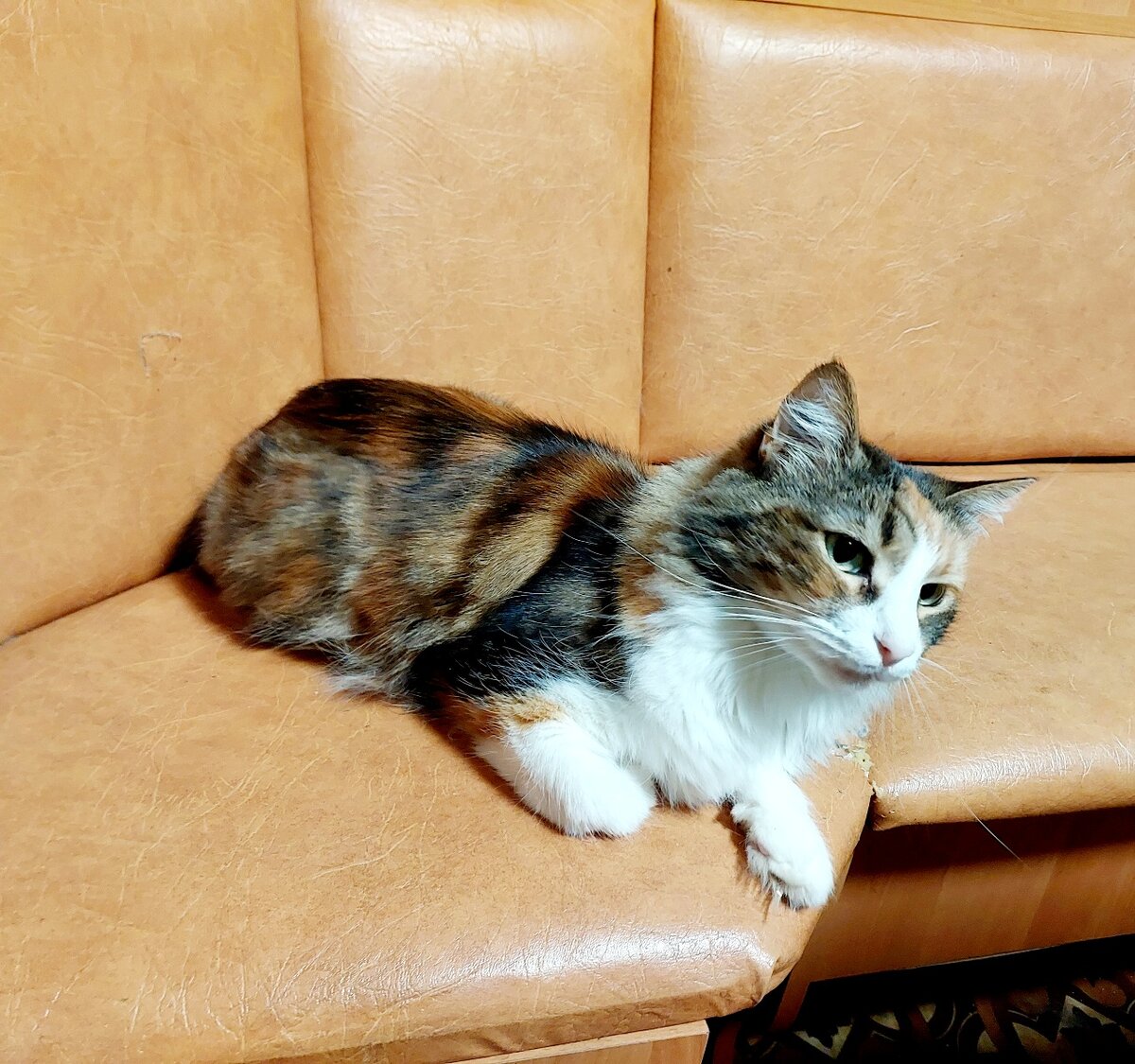 Рыжая