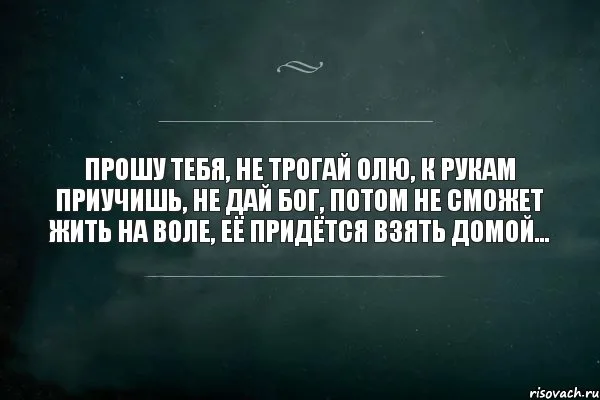 Список сексуальных извращений(полагаю, что далеко не полный) | Пикабу