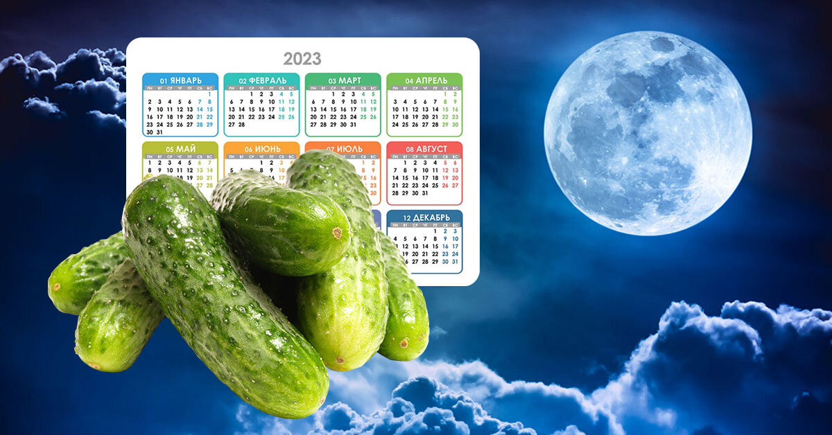 Календарь. Лунный календарь. Календарь рассады на 2023 год. Лунный календарь для рассады 2023. Когда сеять огурцы в марте 2024 года